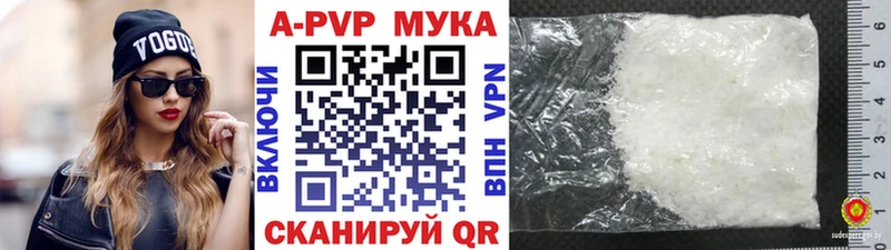 где найти shop как зайти Alfa_PVP СК КРИС Инта