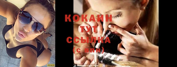 стаф Арсеньев