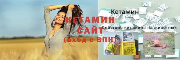 стаф Арсеньев