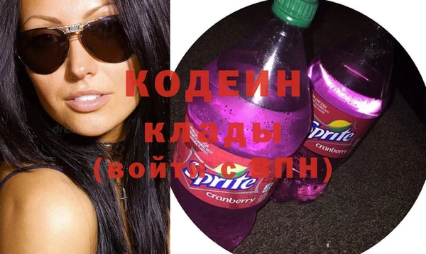 стаф Арсеньев