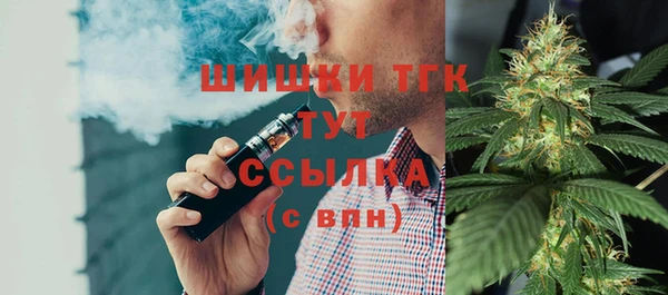 стаф Арсеньев