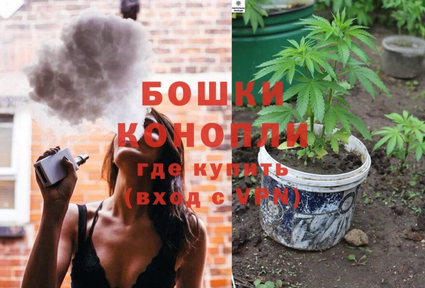 стаф Арсеньев