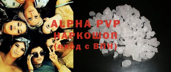 стаф Арсеньев